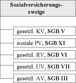  (image: http://ife.erdaxo.de/uploads/GemeinsameVorschriftenSozR/Sozialversicherungszweige.png) 