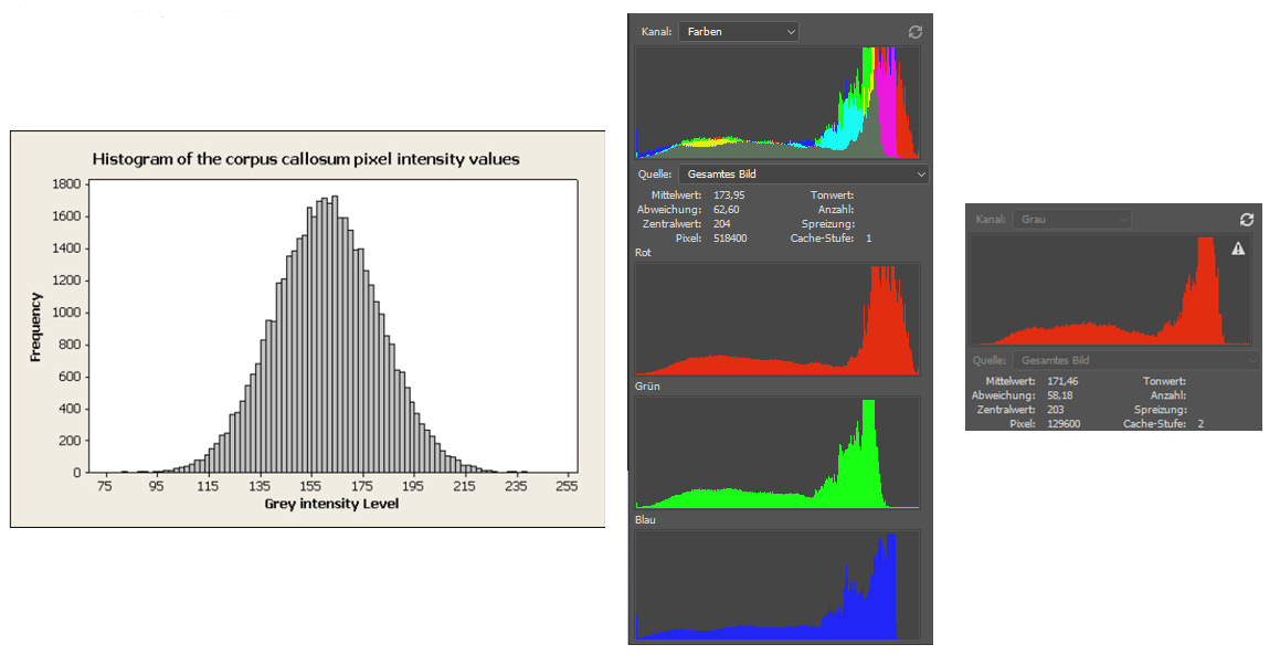 Histogram