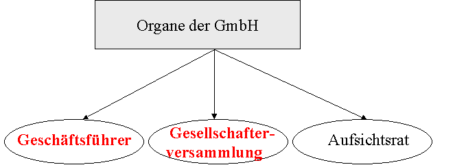  (image: http://ife.erdaxo.de/uploads/UR3GmbH/OrganeGmbH.png) 