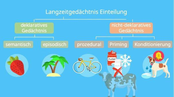 Langzeitgedächtnis